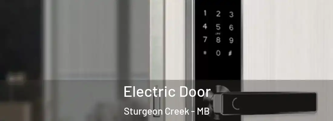  Electric Door Sturgeon Creek - MB