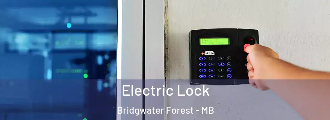  Electric Lock Bridgwater Forest - MB