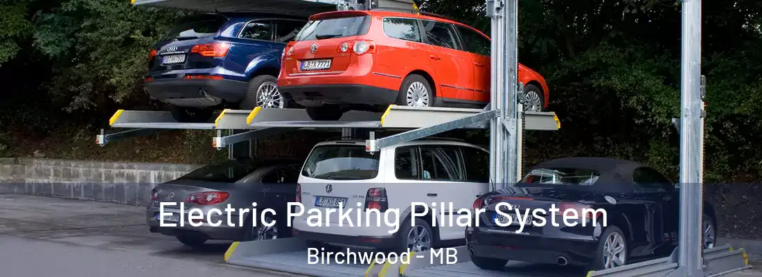  Electric Parking Pillar System Birchwood - MB