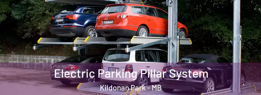  Electric Parking Pillar System Kildonan Park - MB