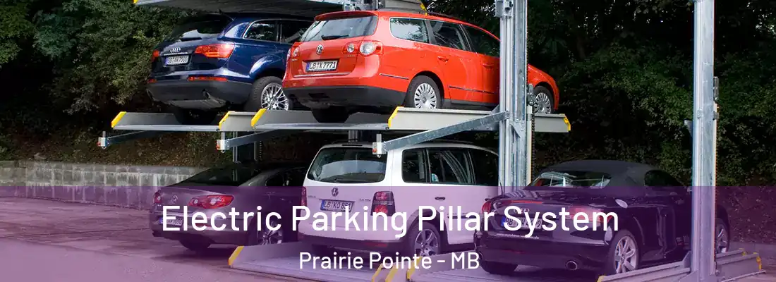  Electric Parking Pillar System Prairie Pointe - MB