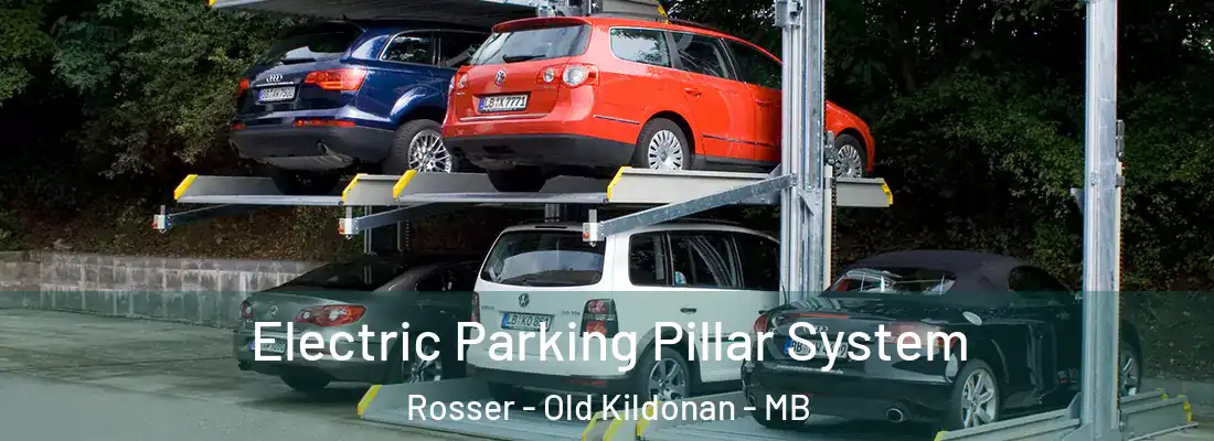  Electric Parking Pillar System Rosser - Old Kildonan - MB