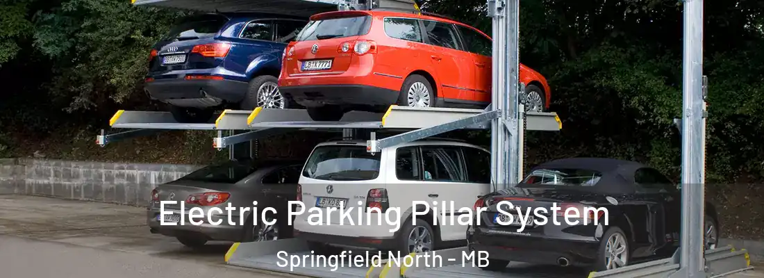  Electric Parking Pillar System Springfield North - MB