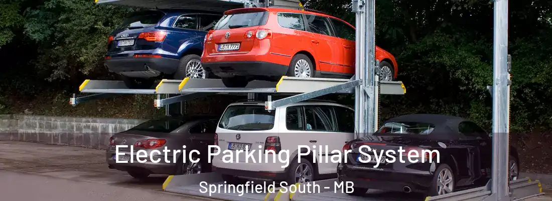  Electric Parking Pillar System Springfield South - MB
