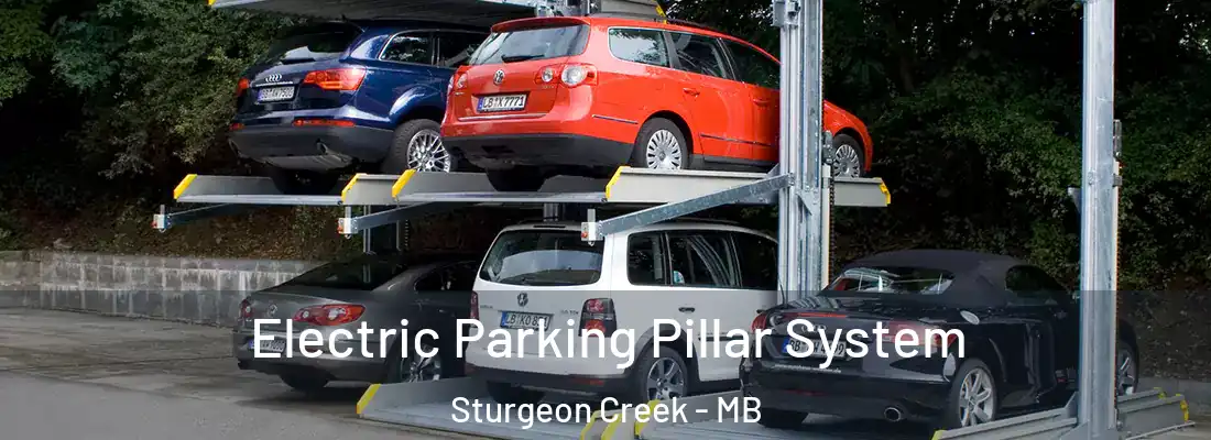  Electric Parking Pillar System Sturgeon Creek - MB