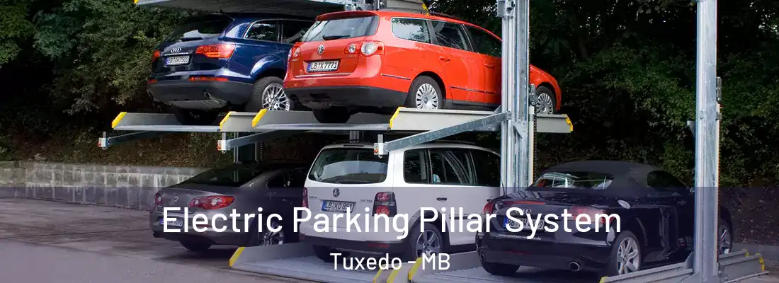  Electric Parking Pillar System Tuxedo - MB