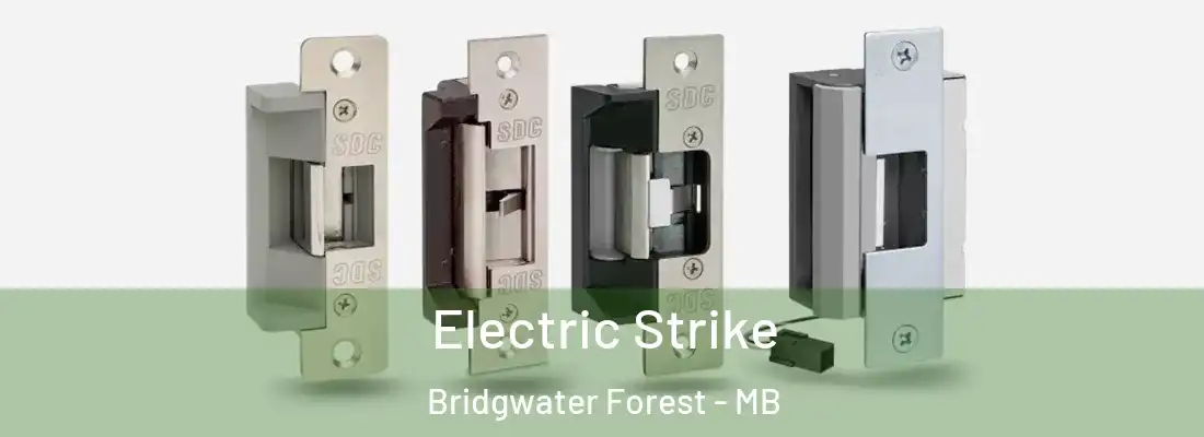  Electric Strike Bridgwater Forest - MB