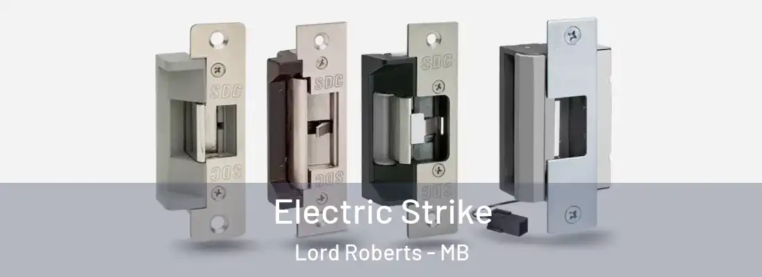  Electric Strike Lord Roberts - MB