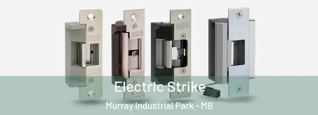  Electric Strike Murray Industrial Park - MB