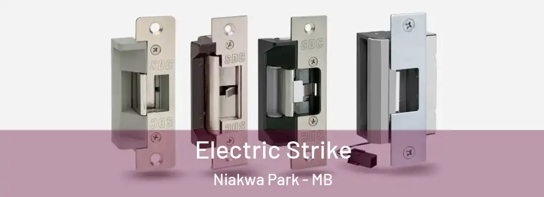  Electric Strike Niakwa Park - MB