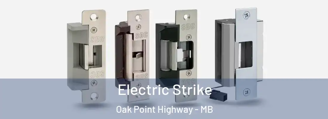  Electric Strike Oak Point Highway - MB