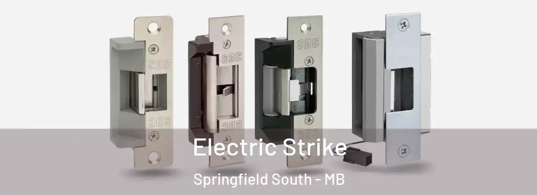  Electric Strike Springfield South - MB