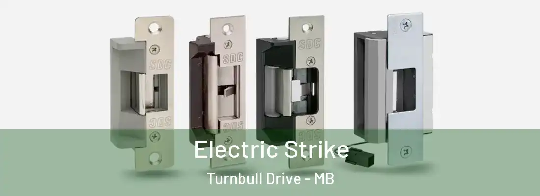  Electric Strike Turnbull Drive - MB