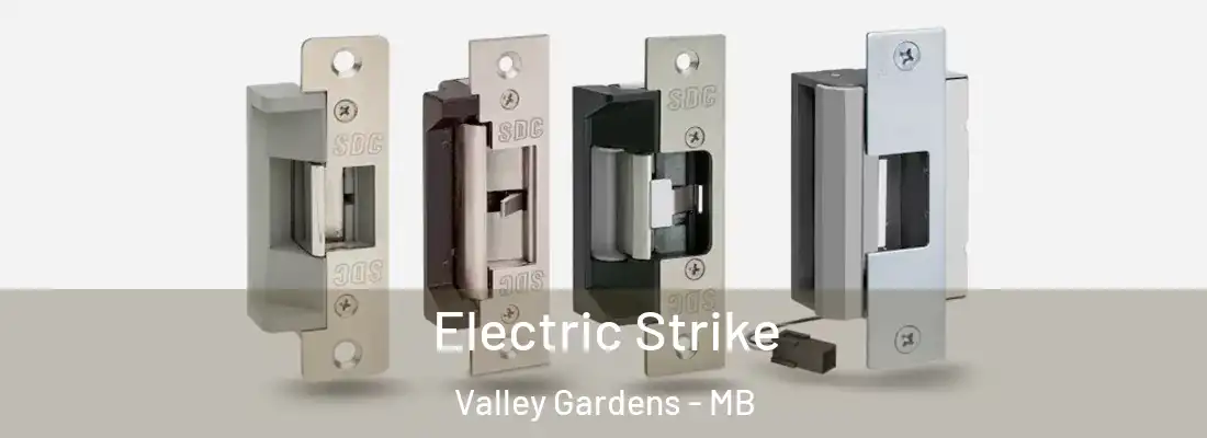  Electric Strike Valley Gardens - MB