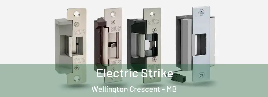  Electric Strike Wellington Crescent - MB