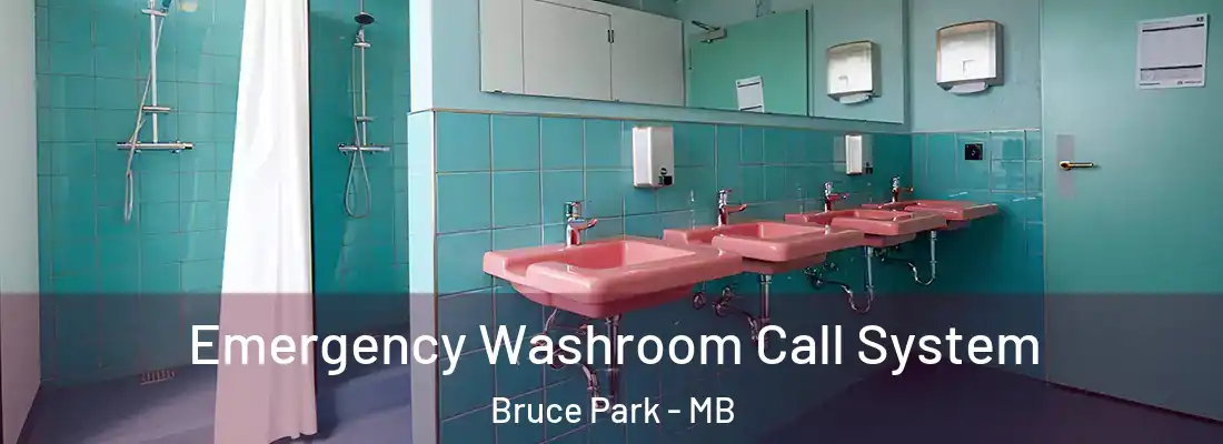  Emergency Washroom Call System Bruce Park - MB