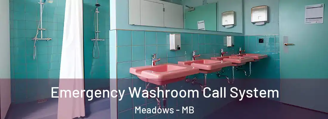  Emergency Washroom Call System Meadows - MB