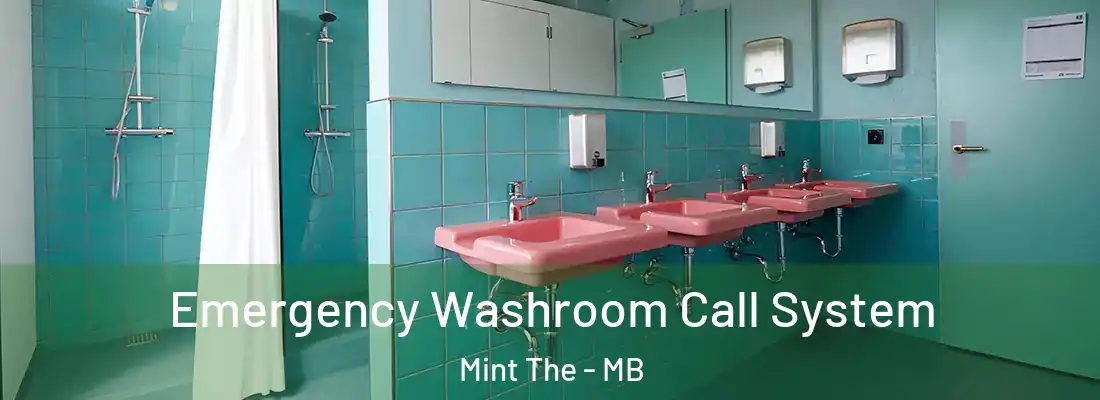  Emergency Washroom Call System Mint The - MB
