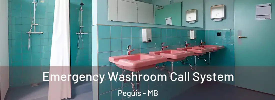  Emergency Washroom Call System Peguis - MB