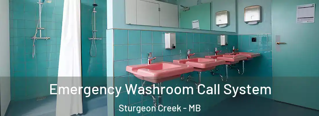  Emergency Washroom Call System Sturgeon Creek - MB