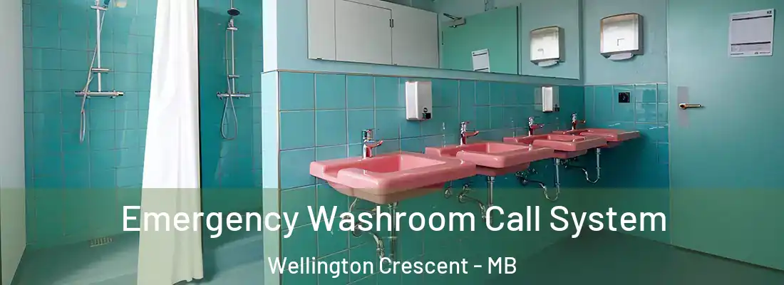  Emergency Washroom Call System Wellington Crescent - MB