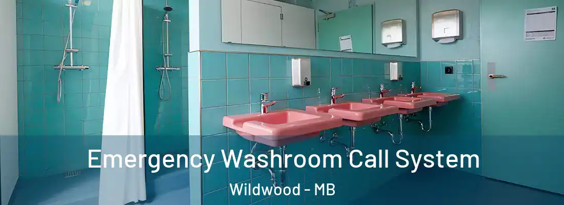  Emergency Washroom Call System Wildwood - MB