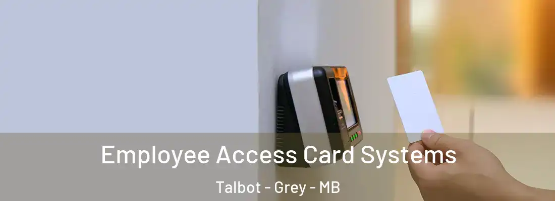 Employee Access Card Systems Talbot - Grey - MB