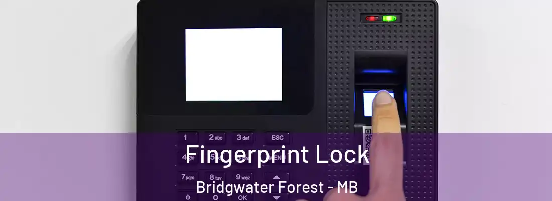  Fingerprint Lock Bridgwater Forest - MB