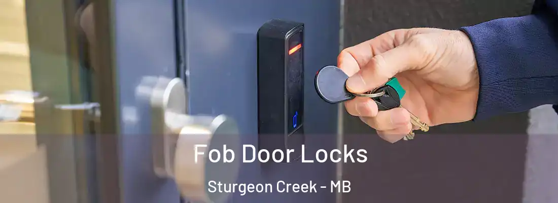  Fob Door Locks Sturgeon Creek - MB