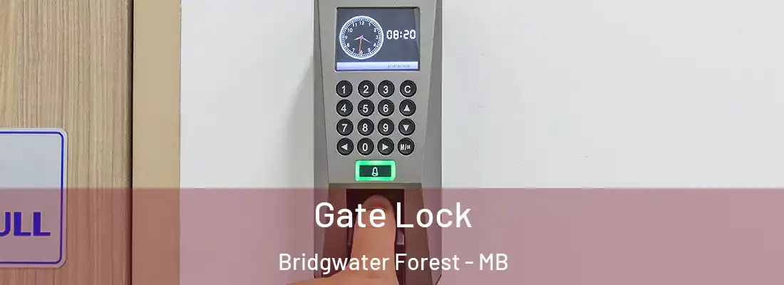  Gate Lock Bridgwater Forest - MB