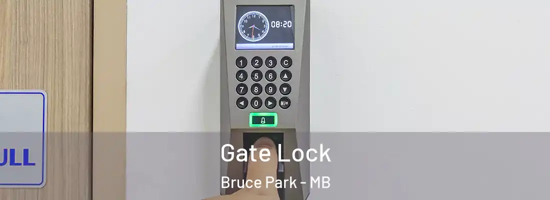  Gate Lock Bruce Park - MB
