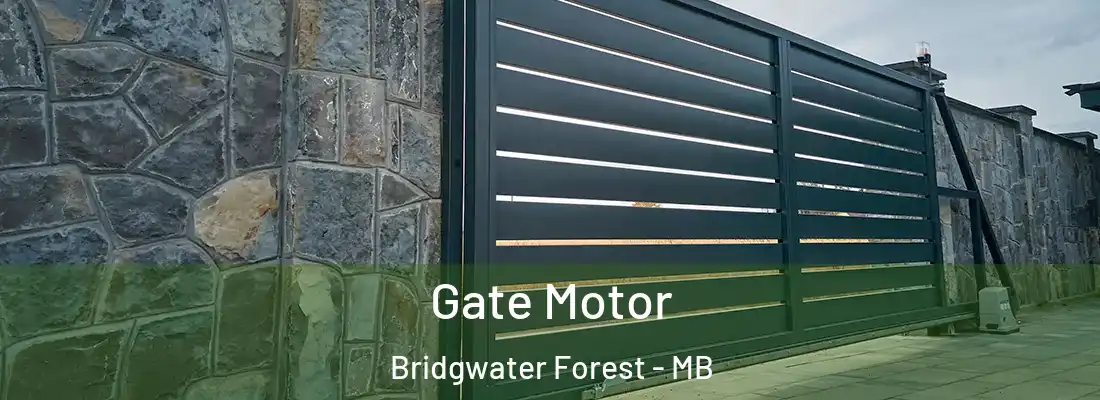  Gate Motor Bridgwater Forest - MB