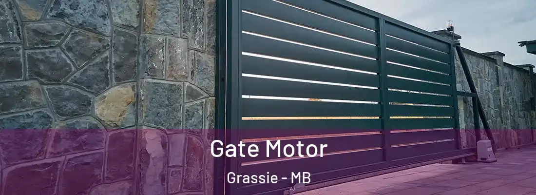 Gate Motor Grassie - MB