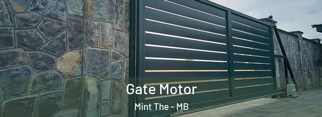  Gate Motor Mint The - MB