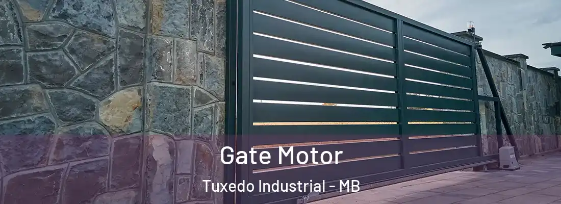  Gate Motor Tuxedo Industrial - MB