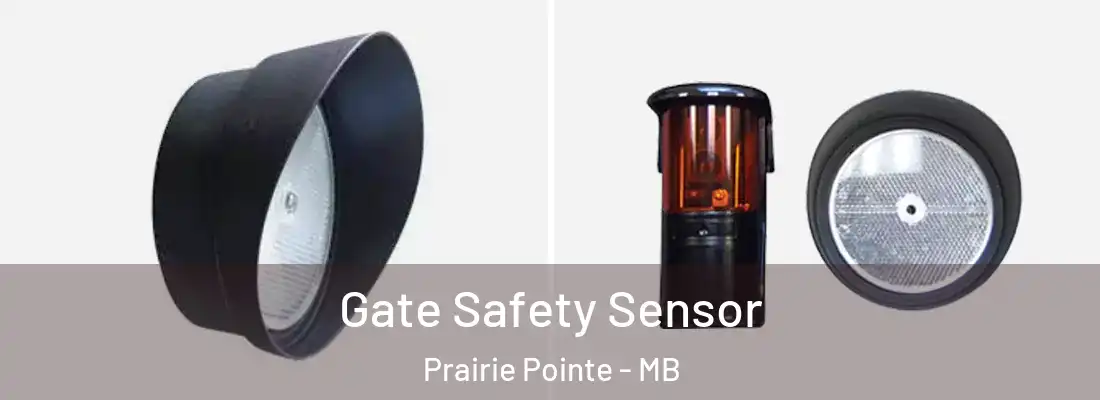  Gate Safety Sensor Prairie Pointe - MB
