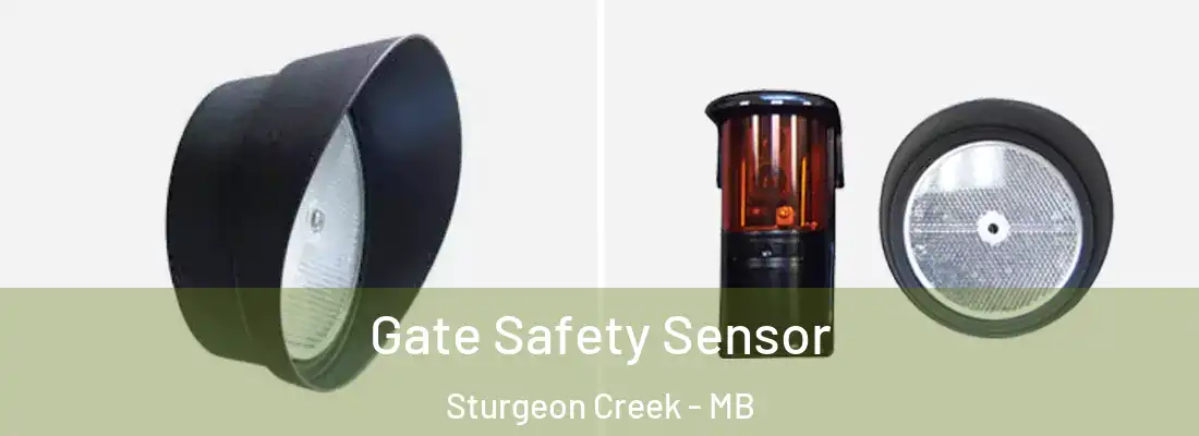  Gate Safety Sensor Sturgeon Creek - MB