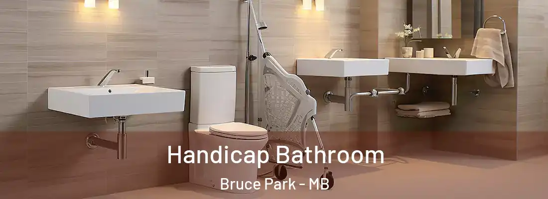  Handicap Bathroom Bruce Park - MB
