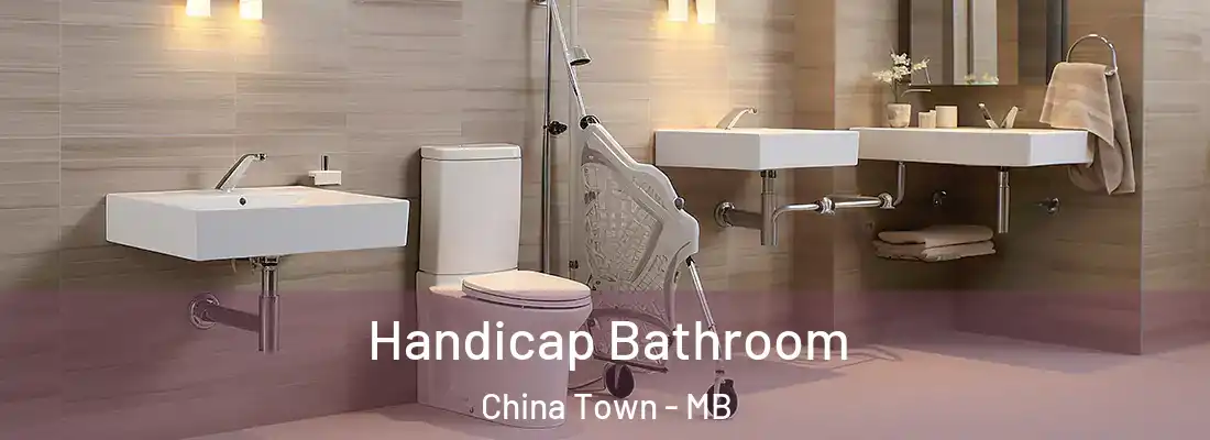  Handicap Bathroom China Town - MB