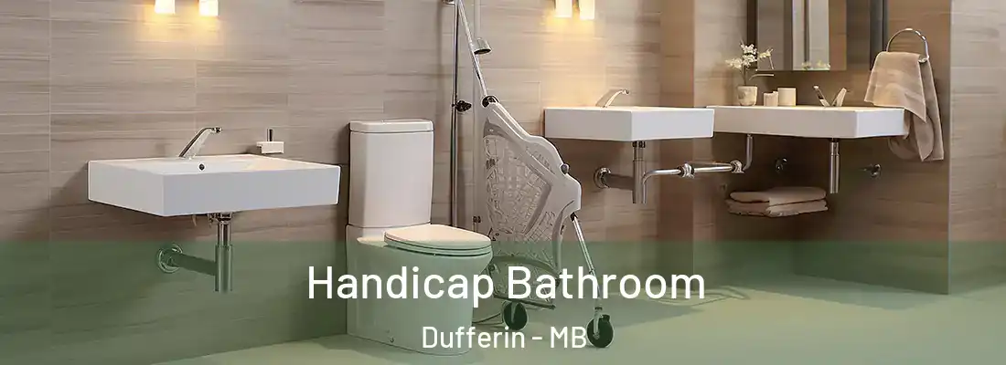 Handicap Bathroom Dufferin - MB