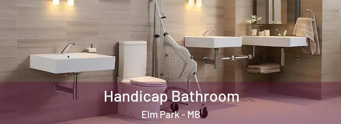  Handicap Bathroom Elm Park - MB