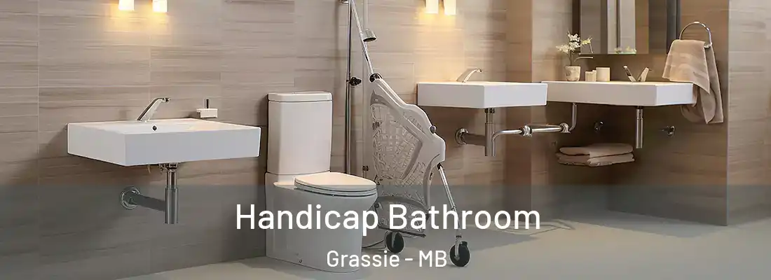  Handicap Bathroom Grassie - MB