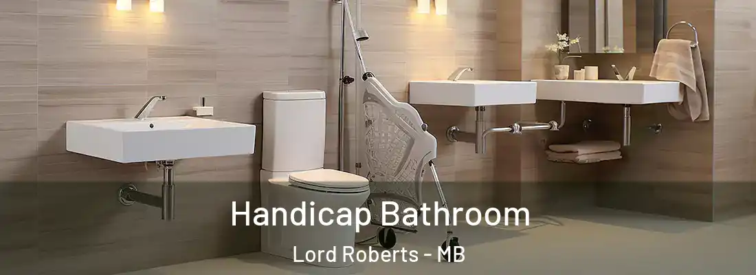  Handicap Bathroom Lord Roberts - MB