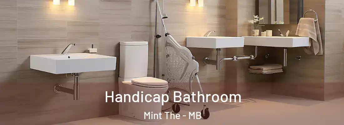  Handicap Bathroom Mint The - MB