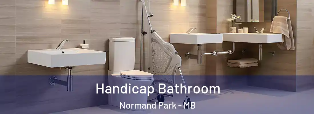  Handicap Bathroom Normand Park - MB