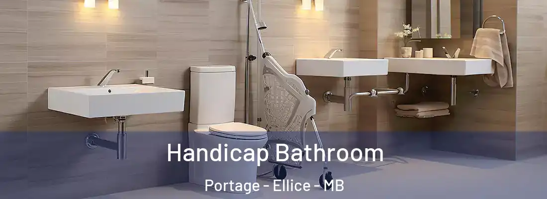  Handicap Bathroom Portage - Ellice - MB