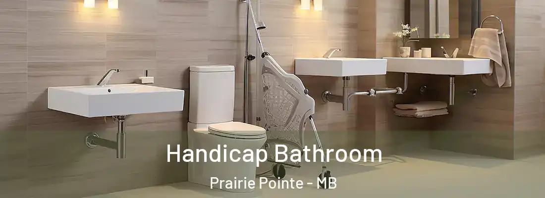  Handicap Bathroom Prairie Pointe - MB