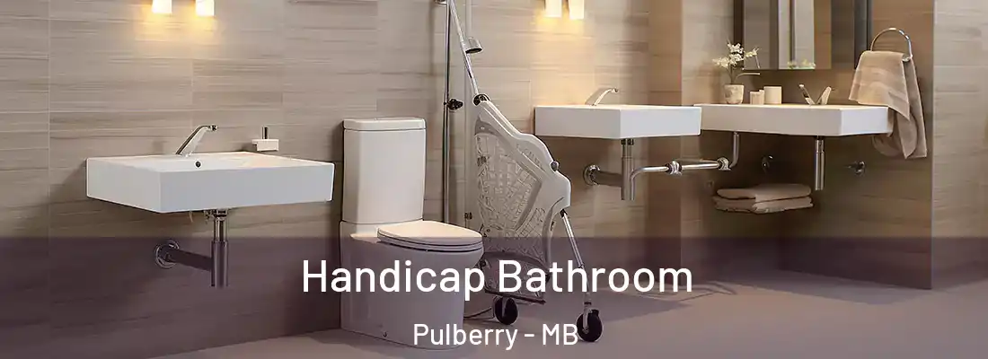  Handicap Bathroom Pulberry - MB