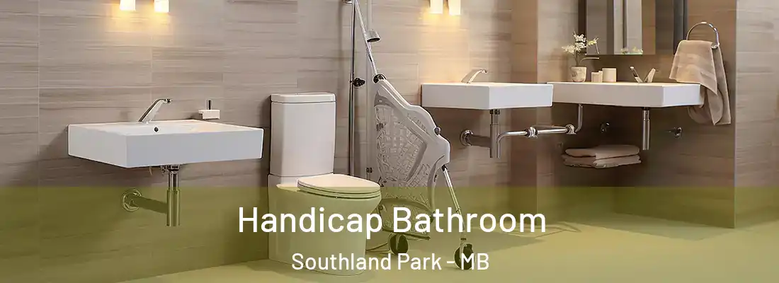  Handicap Bathroom Southland Park - MB