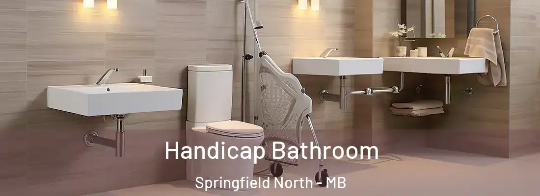  Handicap Bathroom Springfield North - MB